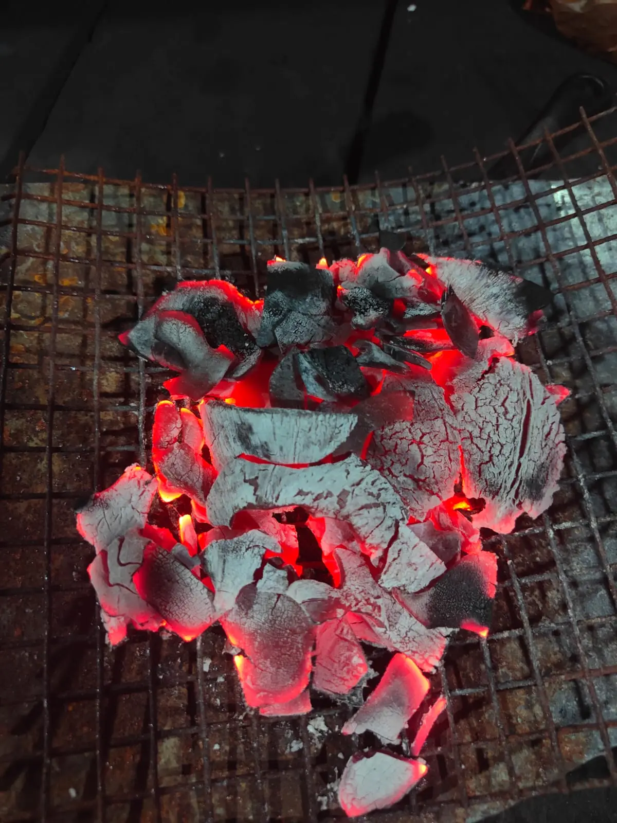 Glowing Coconut Shell Charcoal on a testing grate from the client-supplied SGCI archive