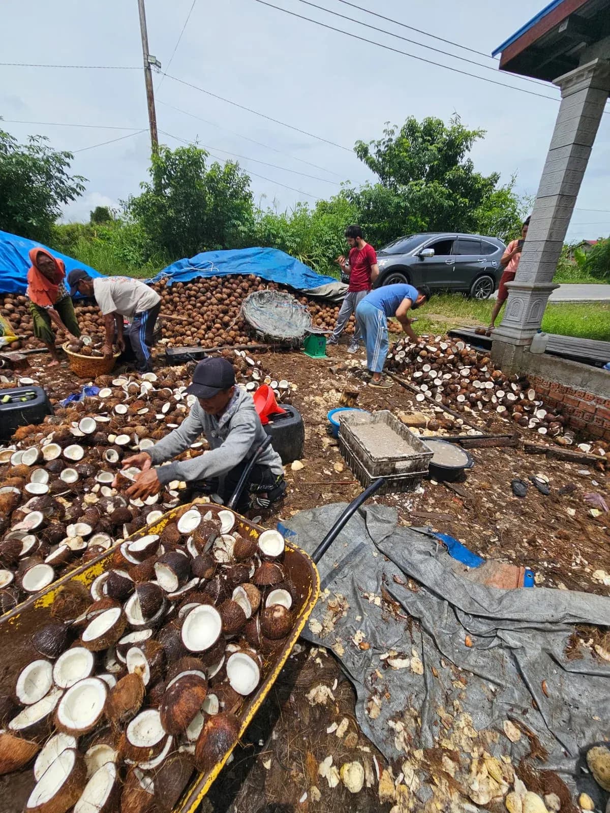 Workers handling opened coconuts in the outdoor processing area