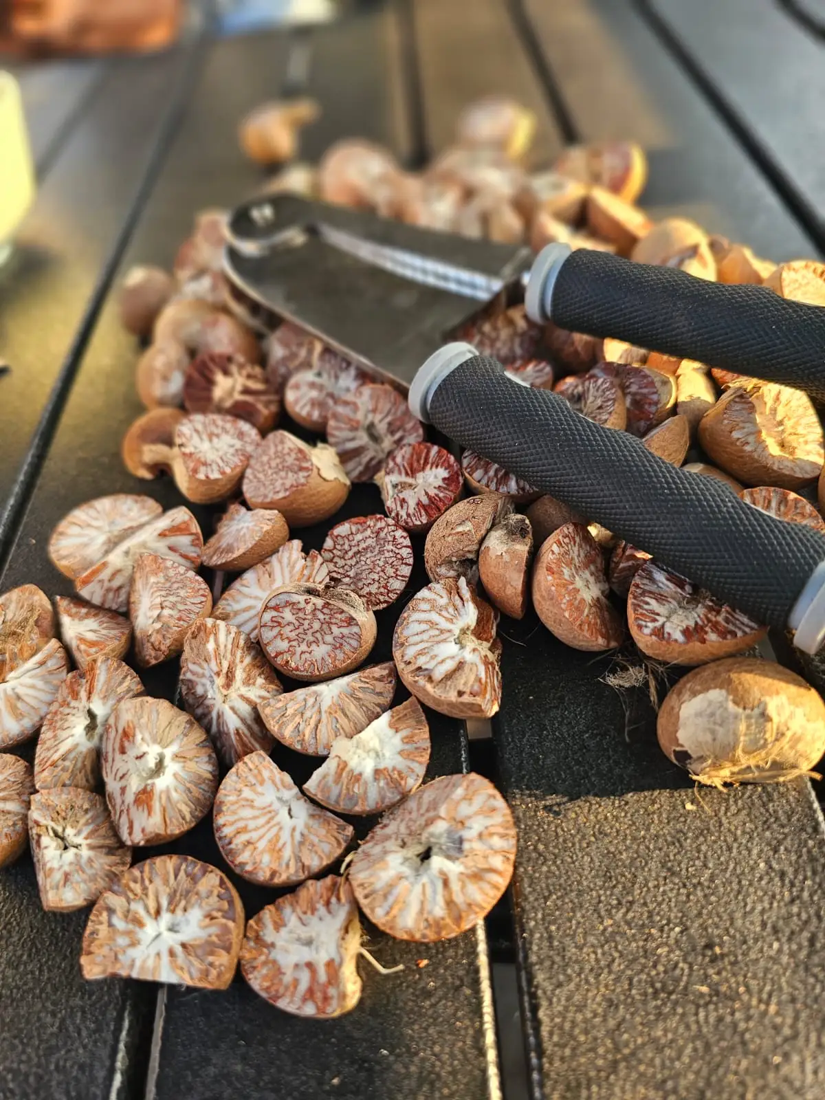 Areca Nut splitting tools and freshly processed nuts from the client-supplied SGCI archive