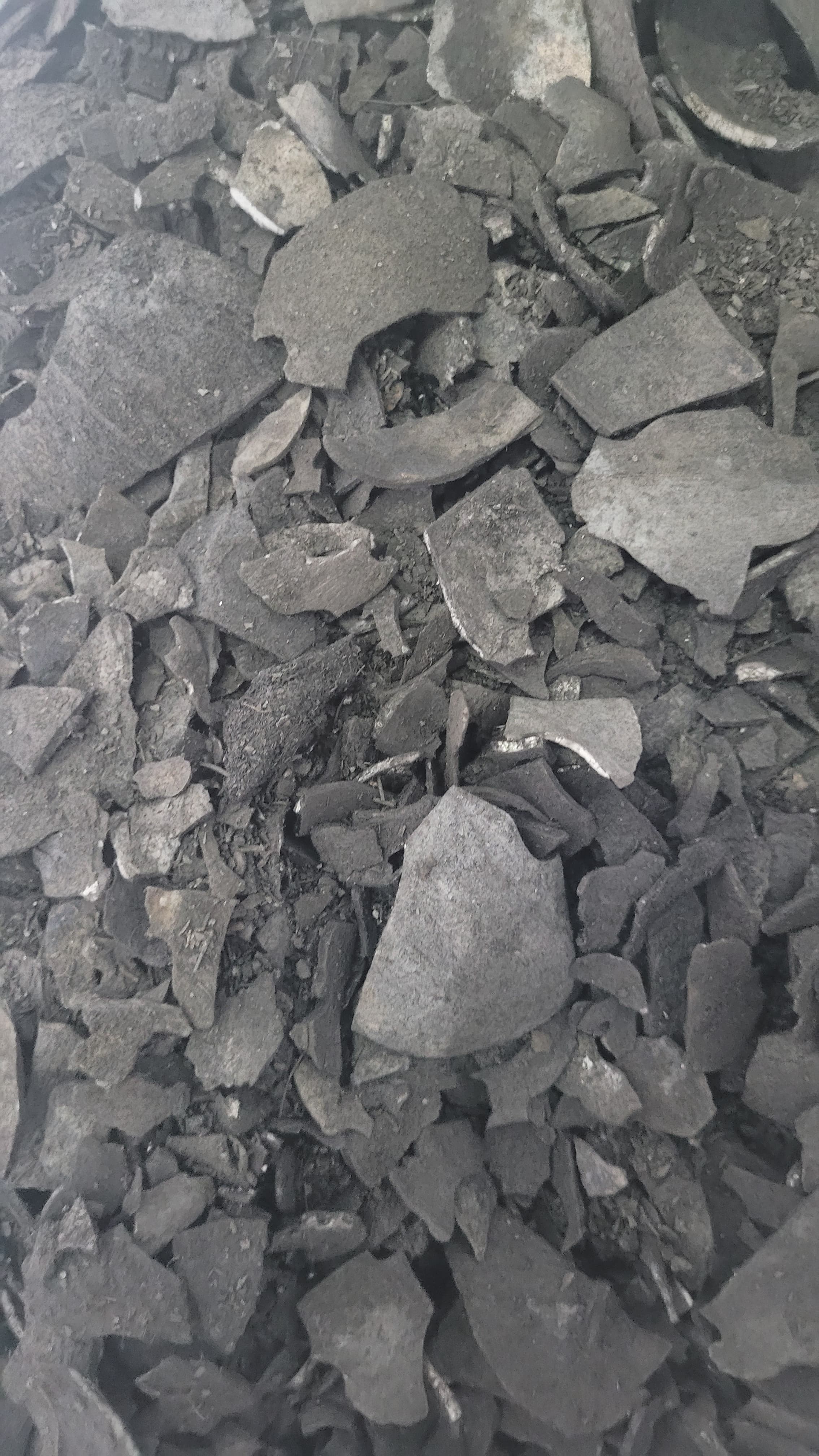 Coconut Shell Charcoal from the client-supplied SGCI archive